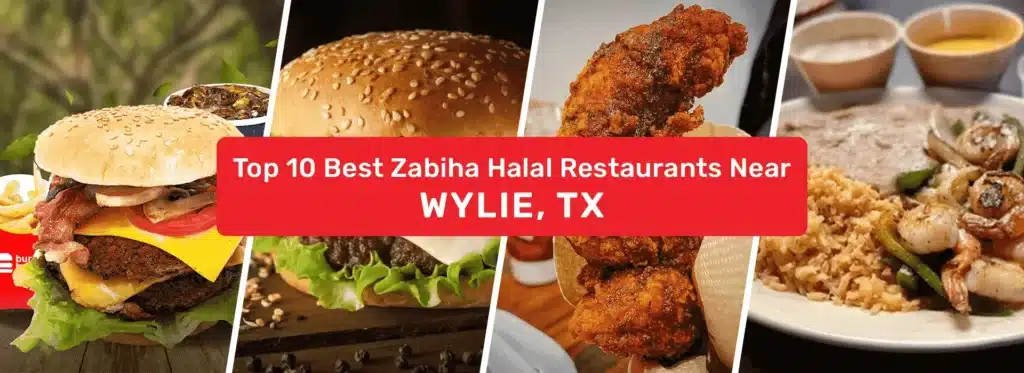 Top 10 Best Zabiha Halal Restaurants Near Wylie Texas